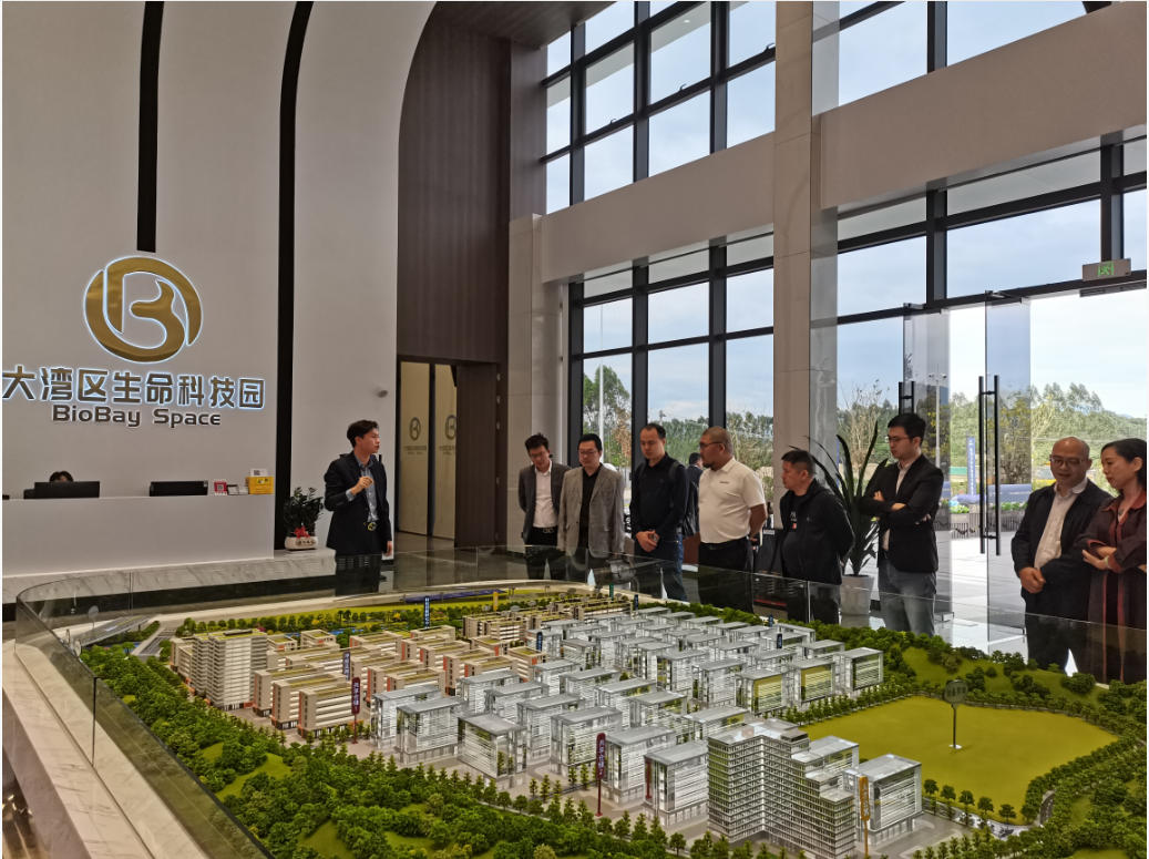 1763028262611100.jpg 1763028262611100.jpg